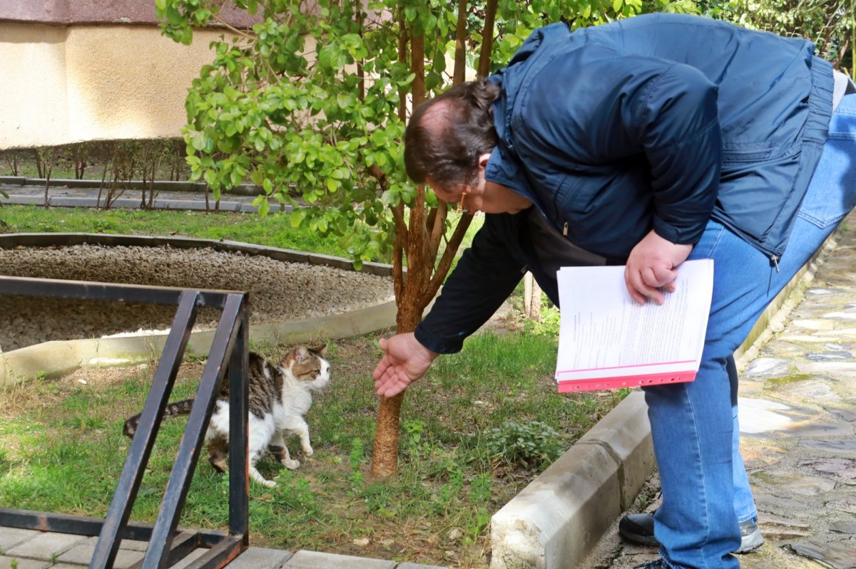 Alanya ’da beslediği kedilerin mamaları toplatılınca çılgına döndü #4